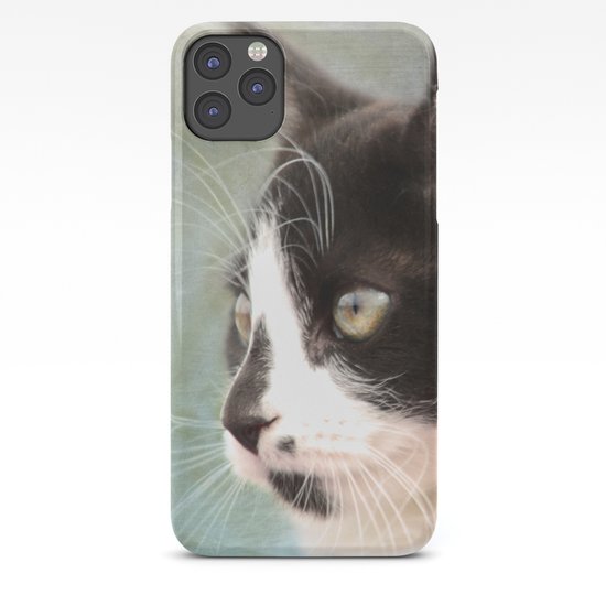 The Ships Cat Iphone Case By Linseywilliams Society6