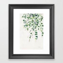 Eucalyptus Watercolor Framed Art Print