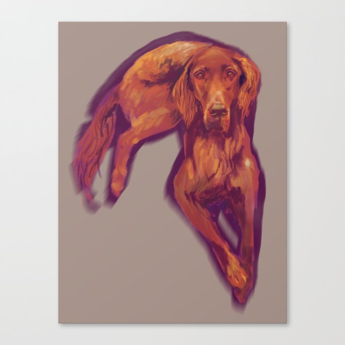 Red Setter Canvas Print