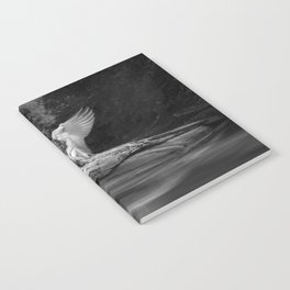 Fallen angel female figurative angelic nude beautiful black and white art photograph - photography - photographs Notebook