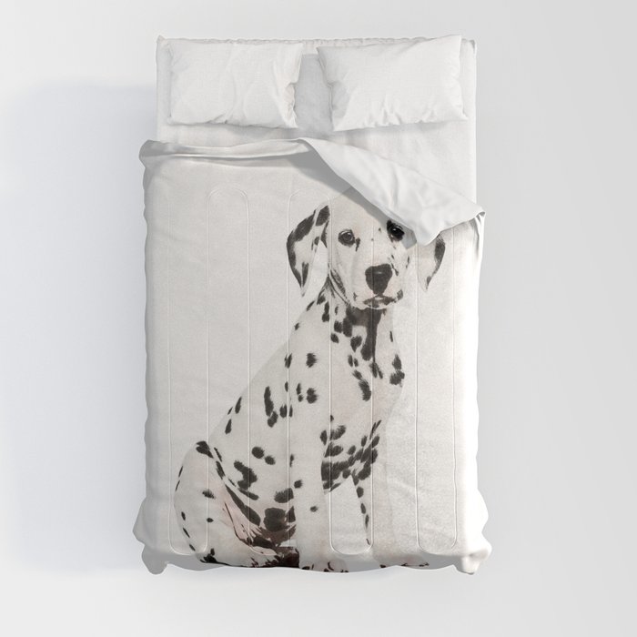 Cute Dalmatian 3 Comforter