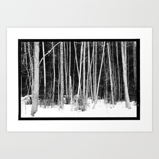 Norwegian forest VIII Art Print