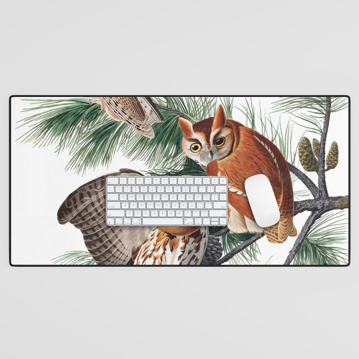  Little Screech Owl by John James Audubon Desk Mat