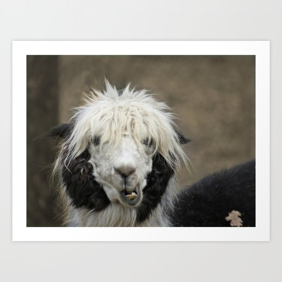 Funny alpaca Art Print