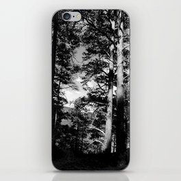 Light Contrast in a Scottish Highlands Pine Forest in Black and White  iPhone Skin