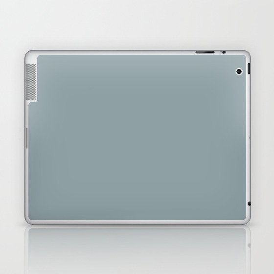 Solid Color Winter Sky blue gray Laptop & iPad Skin