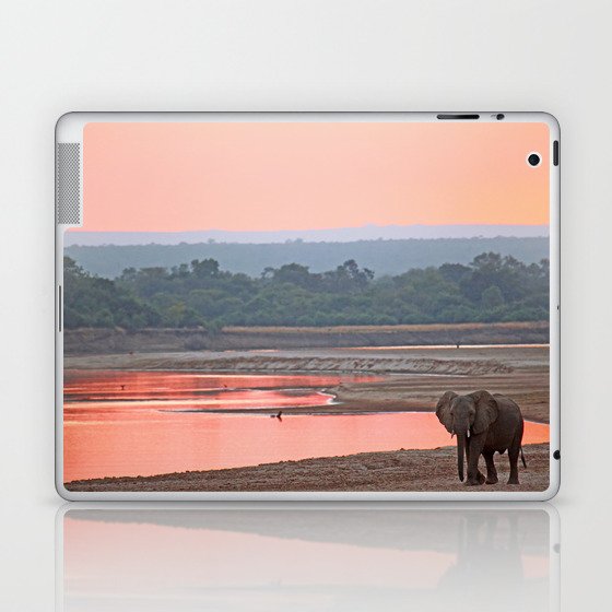 Walk in the evening light, Africa wildlife Laptop & iPad Skin