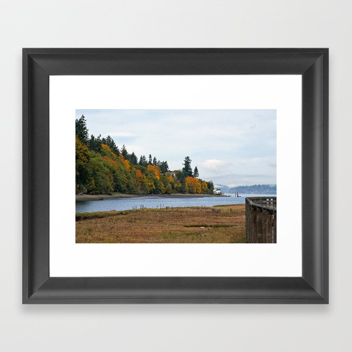 Fall Colors along Puget Sound Washington Framed Art Print