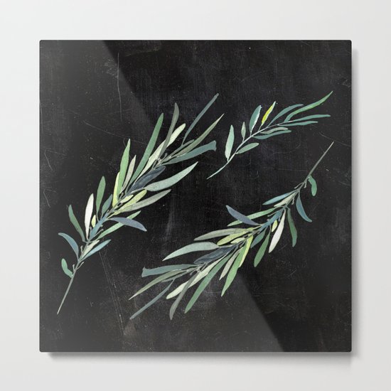 Eucalyptus leaves on chalkboard Metal Print