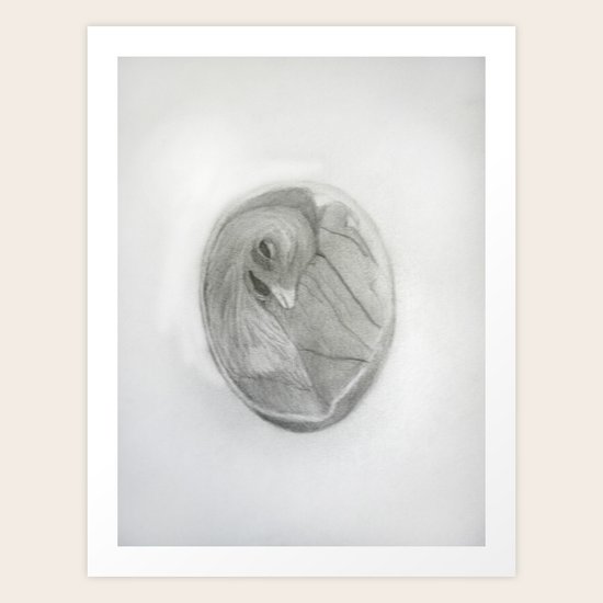 Newborn Art Print