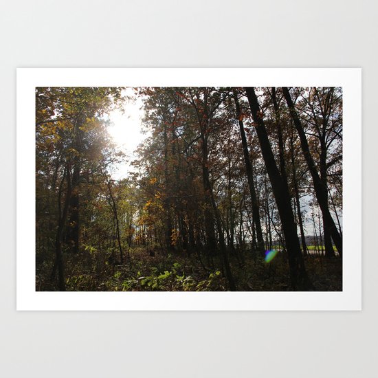 Fall Backyard Art Print