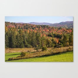 Fall into Vermont Leaves Canvas Print