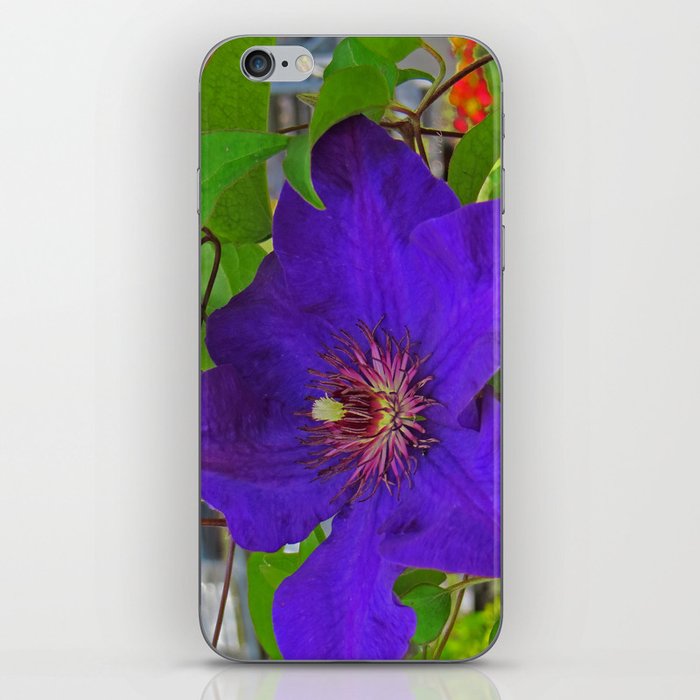 Passion Flower iPhone Skin