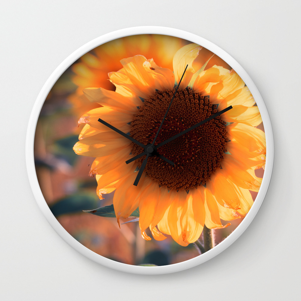 Soon She Donates Seeds For The Birds Sunflower Wall Clock