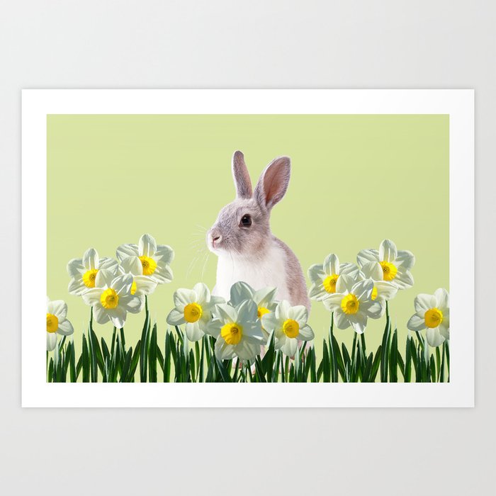 Brown White Rabbit - Daffodils Flower Blossoms field Art Print