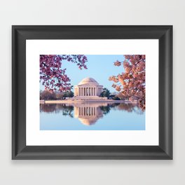 Cherry Blossoms at Jefferson Memorial in Washington DC Framed Art Print