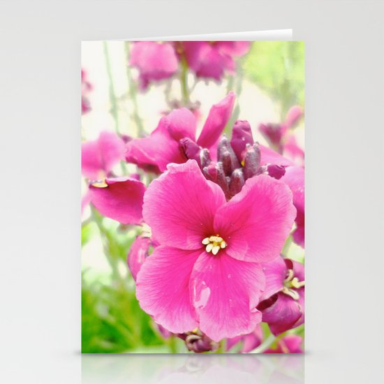 Chartwell Stationery Cards