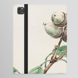 Japanese Vintage Painting of  Oak Tree -Green Botanical  iPad Folio Case