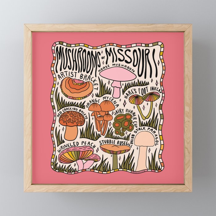 Mushrooms of Missouri Framed Mini Art Print