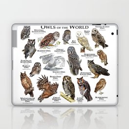 Owls of the World Laptop Skin