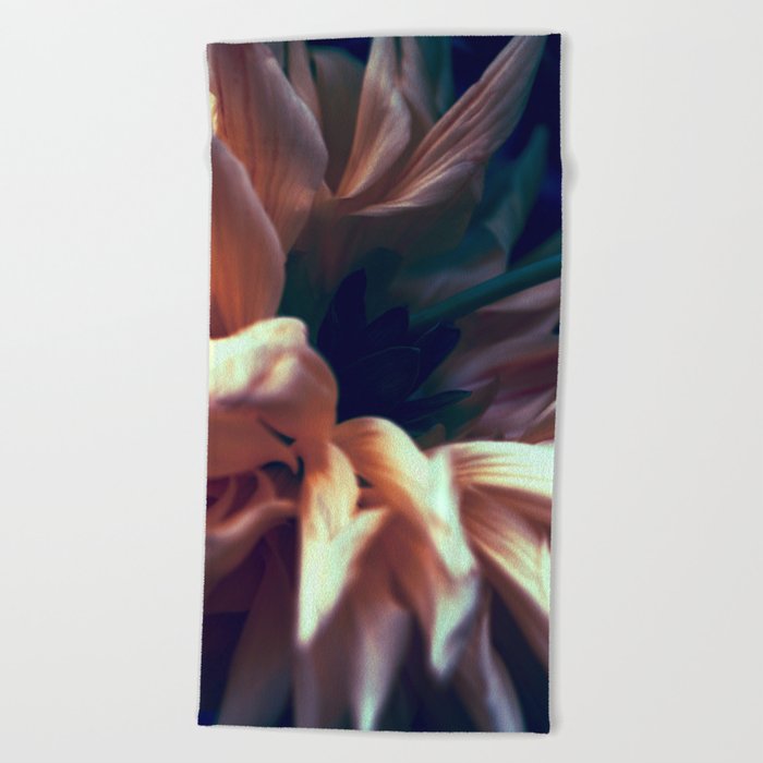 Chrysanthemum Flower Moody Tone Beach Towel