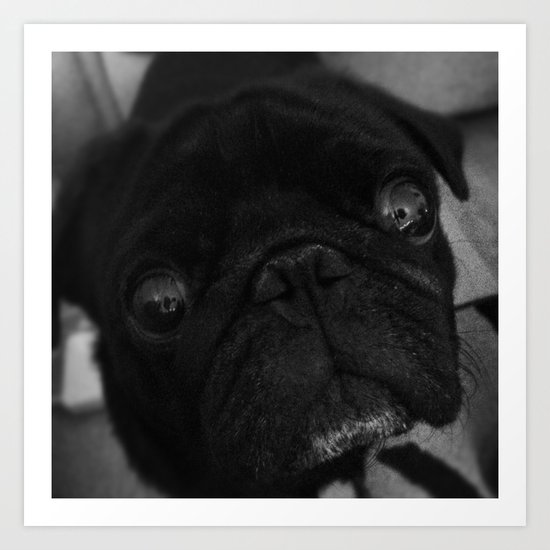 pug Art Print