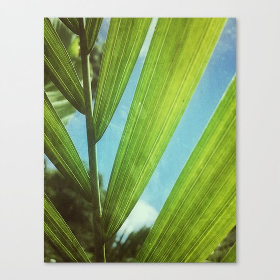 Tropical Outlook Canvas Print