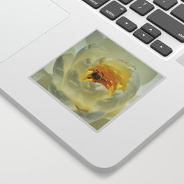 Bee Inside the Waterlily Sticker