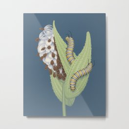 Monarch Caterpillars Metal Print | Illustration, Wildlife, Milkweed, Nature, Monarch, Caterpillar, Insect, Animal, Painting 