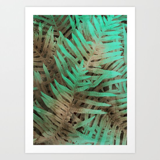 Ferns Art Print