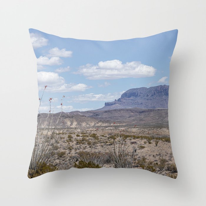 Throw Pillow