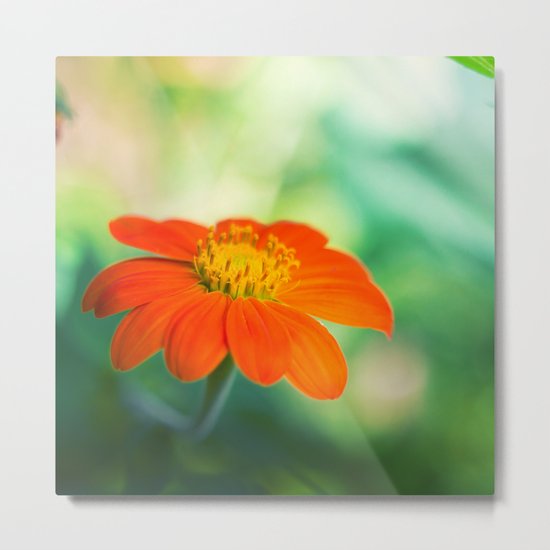 Dear Spring Metal Print