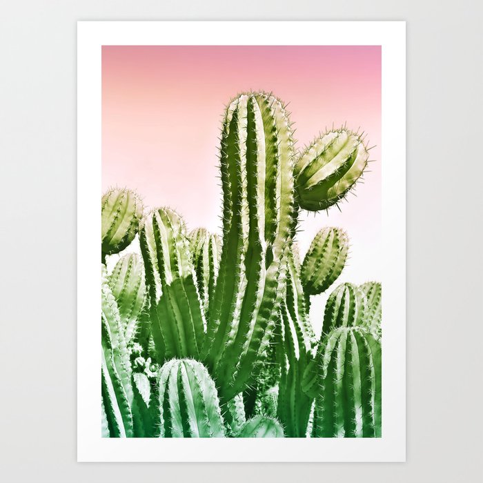 Wild Cactus from Desert Art Print