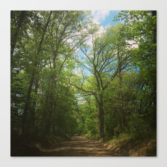 Pathway to Heaven Canvas Print