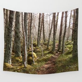Light and Shadow on a Scottish Highlands Nature Path Wall Tapestry