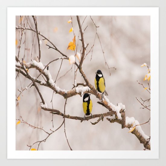 Lovely Songbirds on a Snowy Branch Art Print