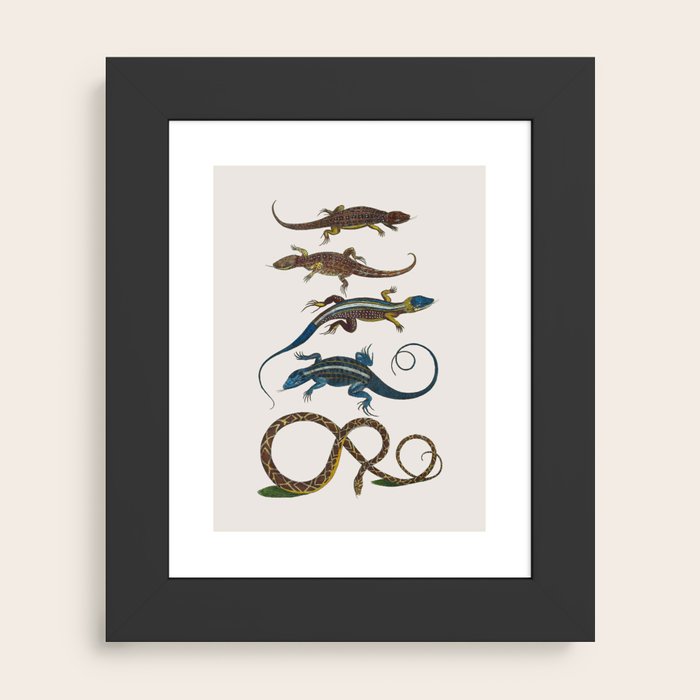 Framed Art Print