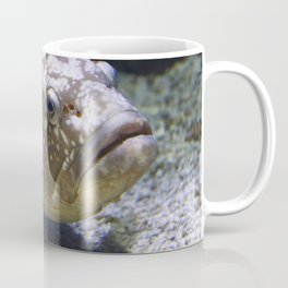 King of the reef Coffee Mug
