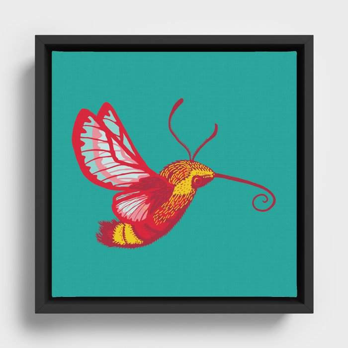 Hummingbird Moth Framed Canvas