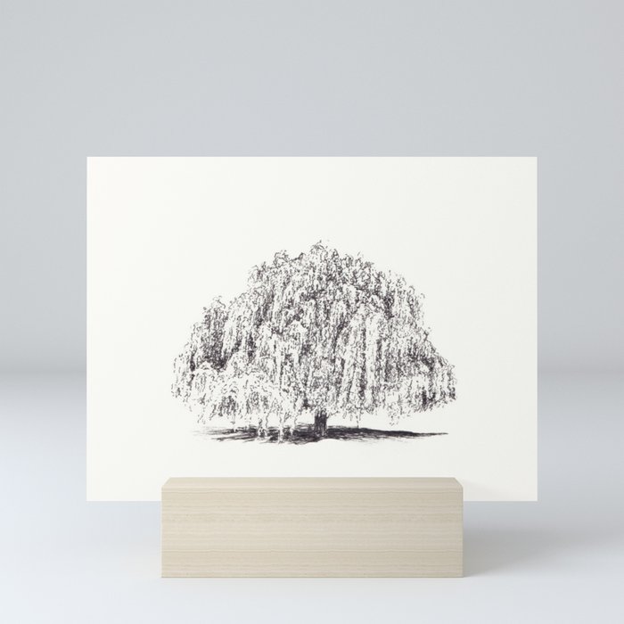 weeping willow Mini Art Print