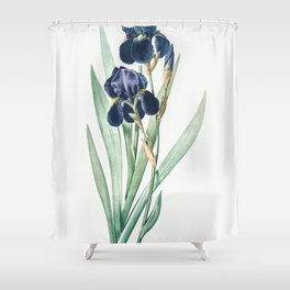 German iris illustration from Les liliacées Shower Curtain