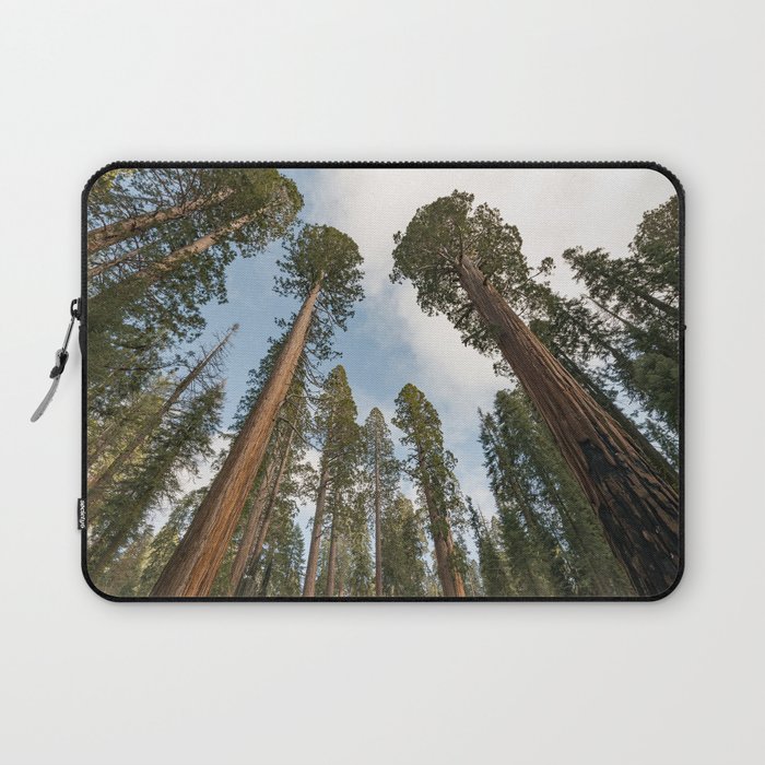 Redwood Sky - Giant Sequoia Trees Laptop Sleeve