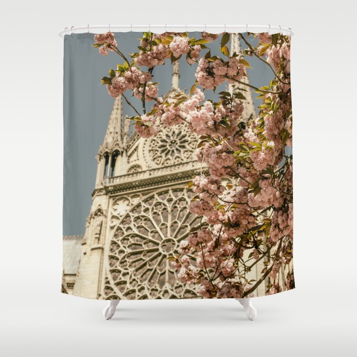 Notre Dame In Spring - Pink Blossoms in Paris, France Shower Curtain