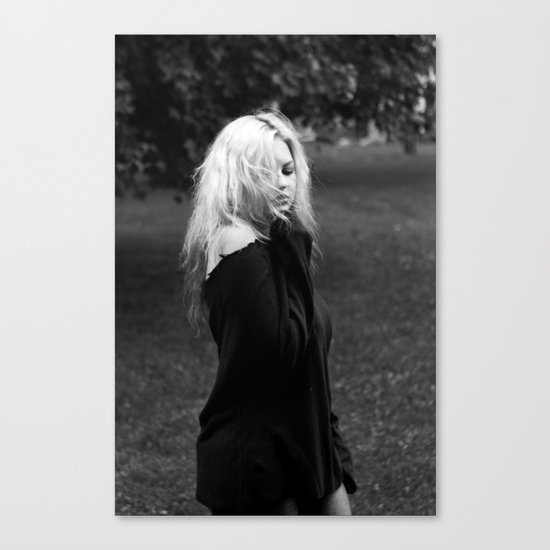 SN II Canvas Print