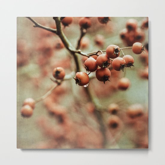 crabapples Metal Print