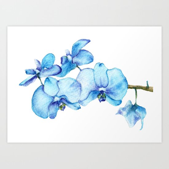 Blue Orchids Two Watercolor Art Print By Evgeniya Society6