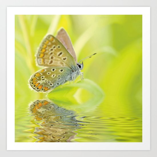 zen style butterfly green outdoor Art Print