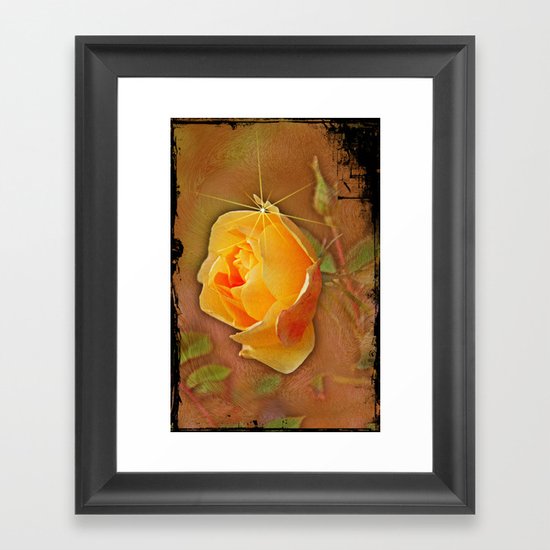 Peach rose Framed Art Print