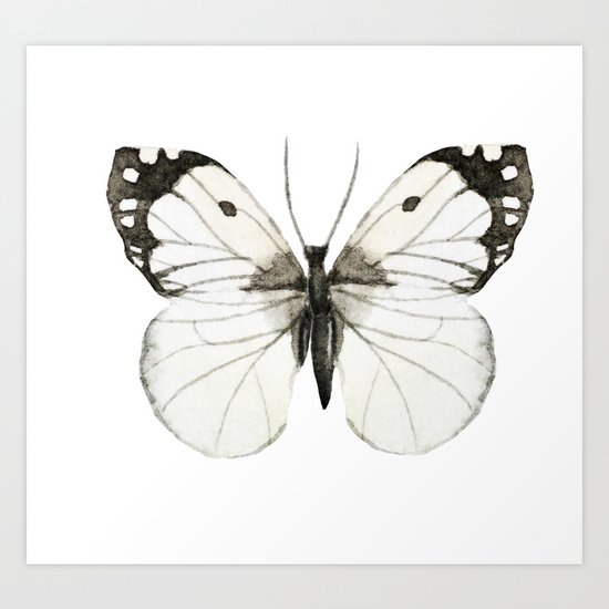 Butterfly 07 Art Print