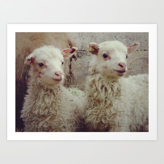 Sheep #3 Art Print